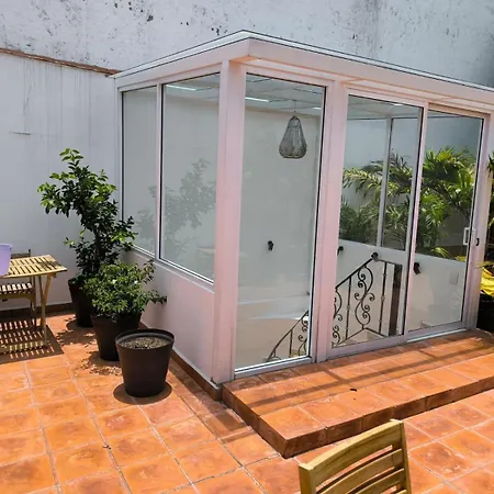 Casa Frida Condesa
