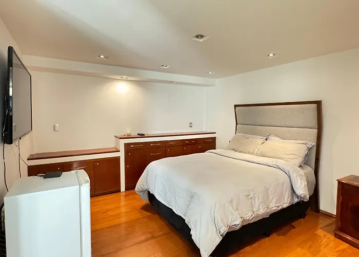 Casa Frida Condesa